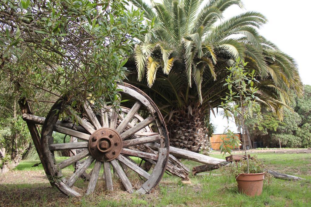 El Arbol Eco Lodge La Serena Exteriér fotografie